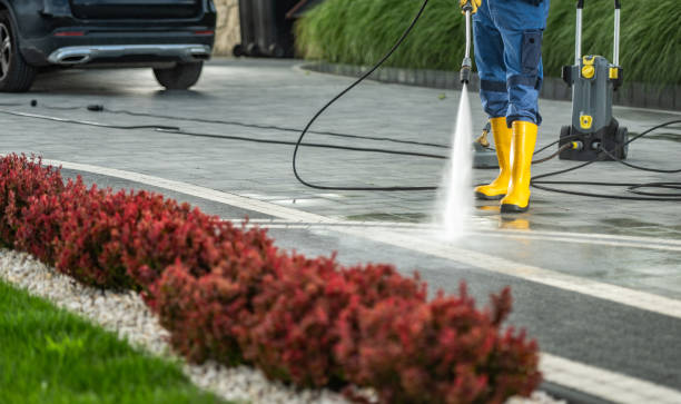 Best Roof Power Washing Services  in USA